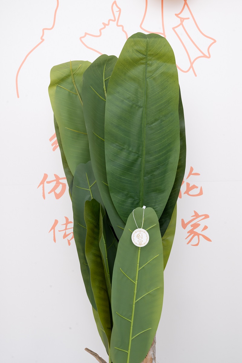 天堂鸟树